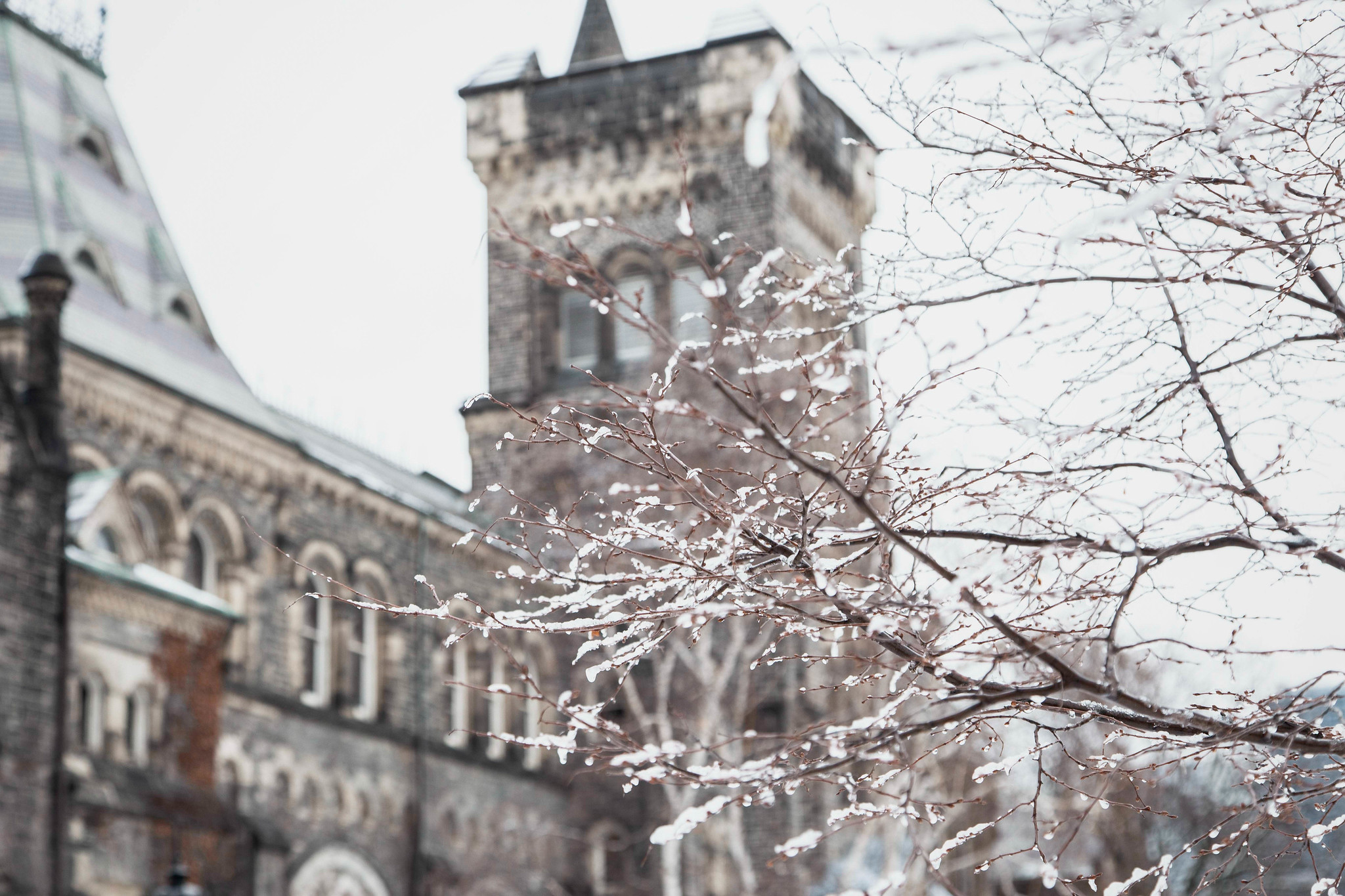 Image focuses on a tree branch covered with snow. University College is in the background.